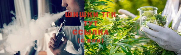 дурь Алексин