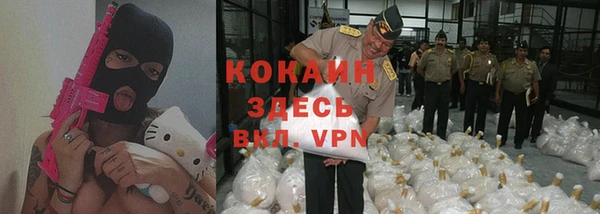 МДПВ Алзамай