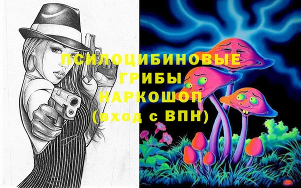 МДПВ Алзамай