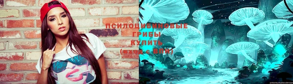 дурь Алексин