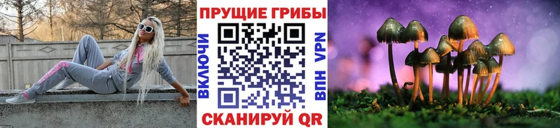 Псилоцибиновые грибы Magic Shrooms  Купить где  Калачинск 